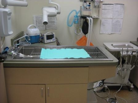 Dental Suite